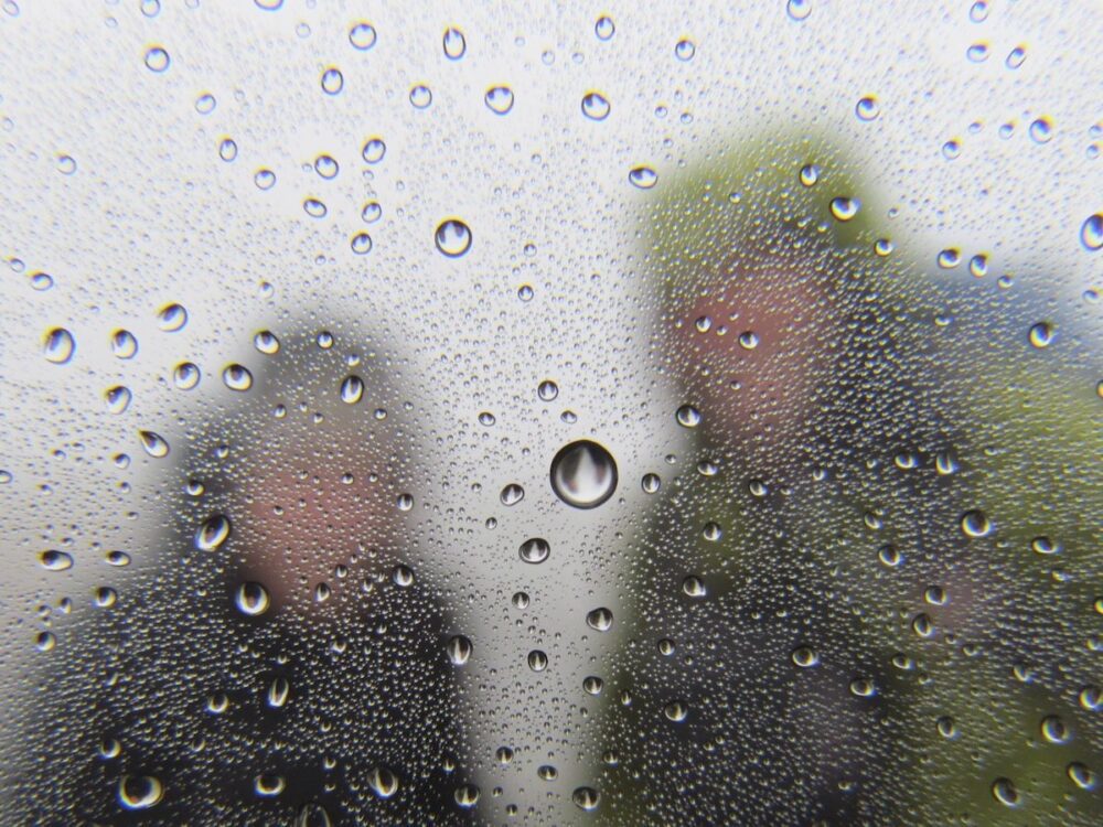 Everything was wet at the peak - we didn't know at that time it was about to get much worse! wet mountain