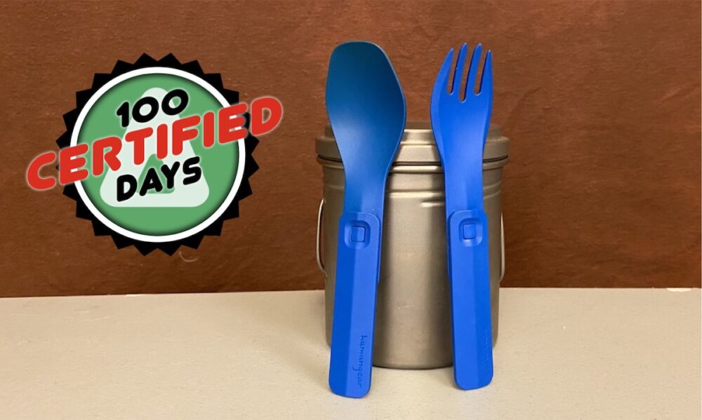 spoons3 100days