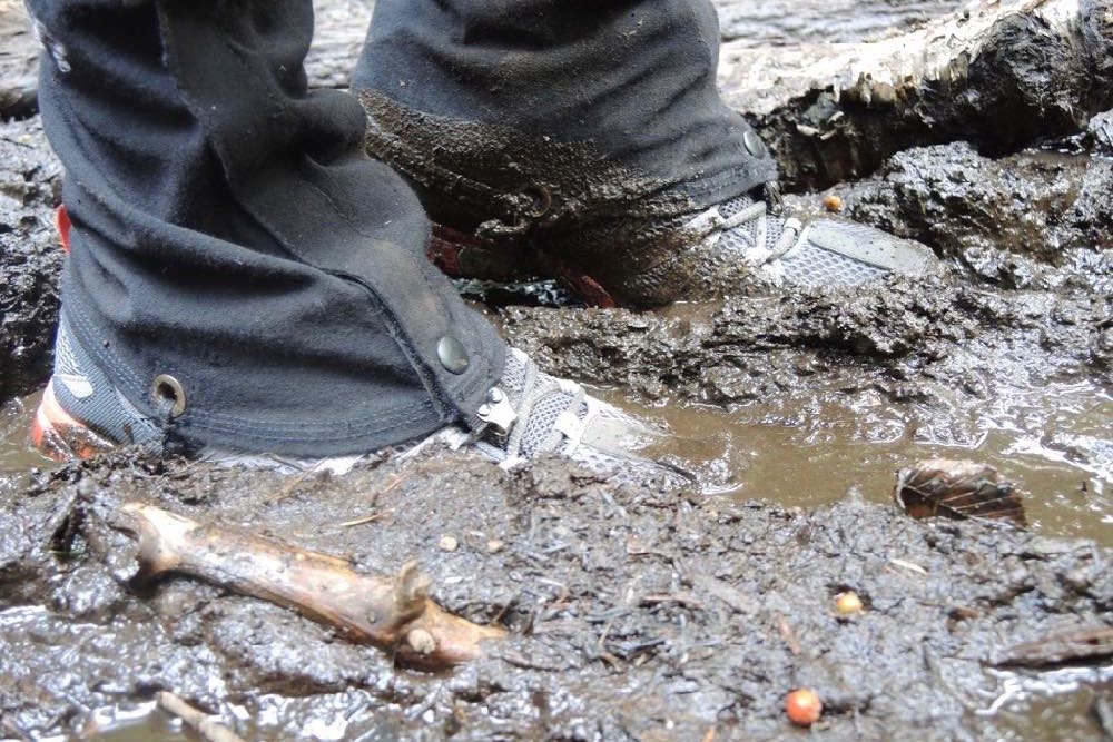 Muck in the spring
